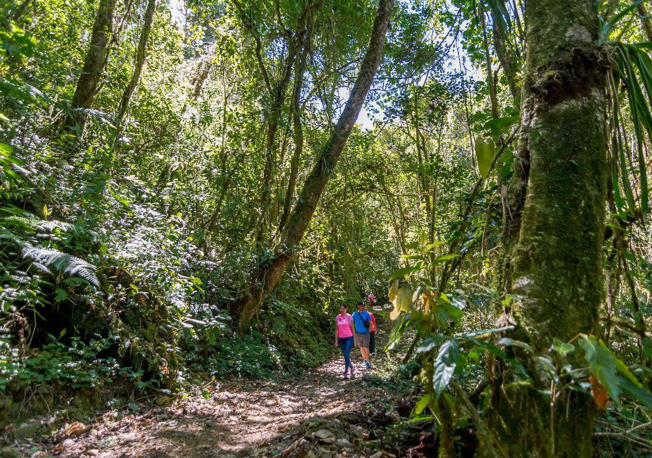 Suenos Del Bosque Lodge San Gerardo de Dota Extérieur photo